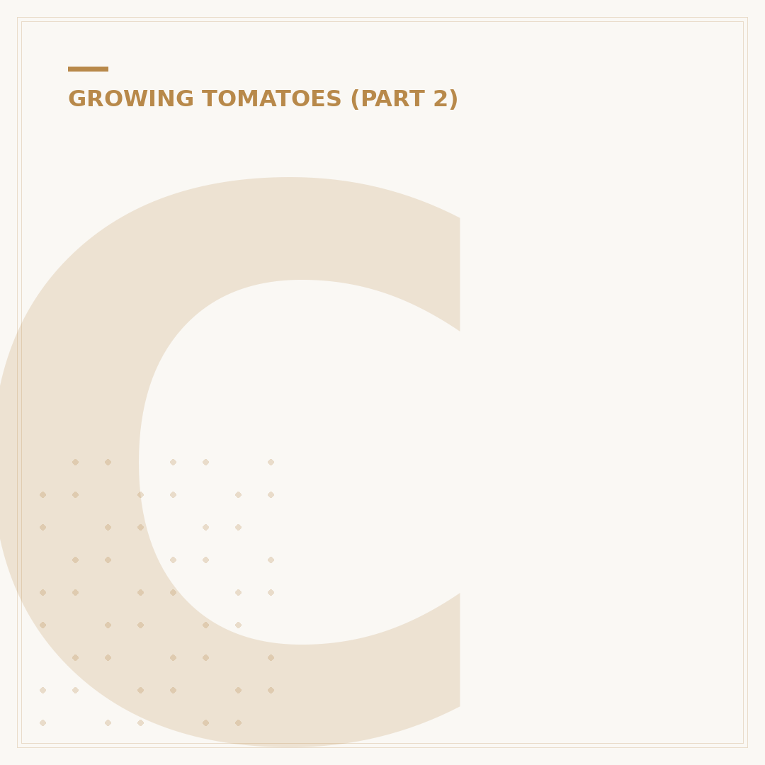 Choosing Kinds of Tomatoes to Grow for Your Garden