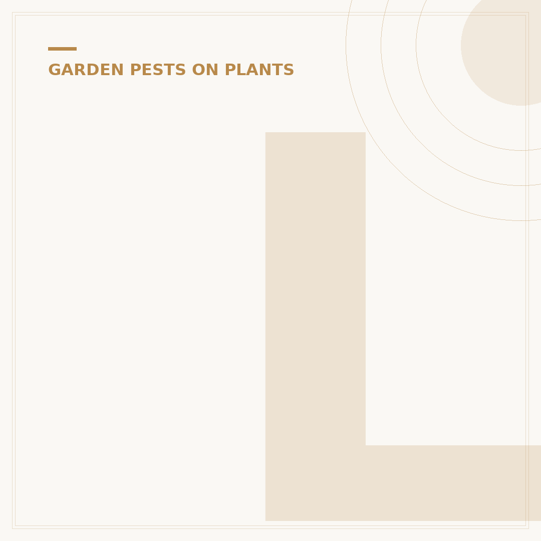 Ladybugs and Aphids: Natural Pest Control for Your Garden