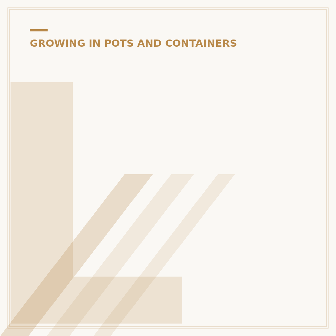 Large Ceramic Plant Pots for Outdoor Spaces