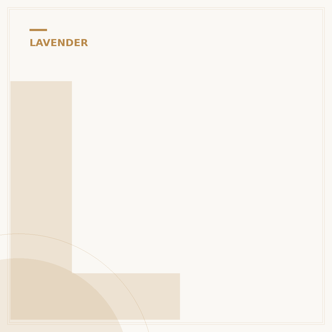 Lavender Plant Meaning: Symbolism and Uses