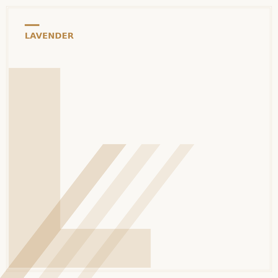 Lavender Plant: Types, Growing & Care