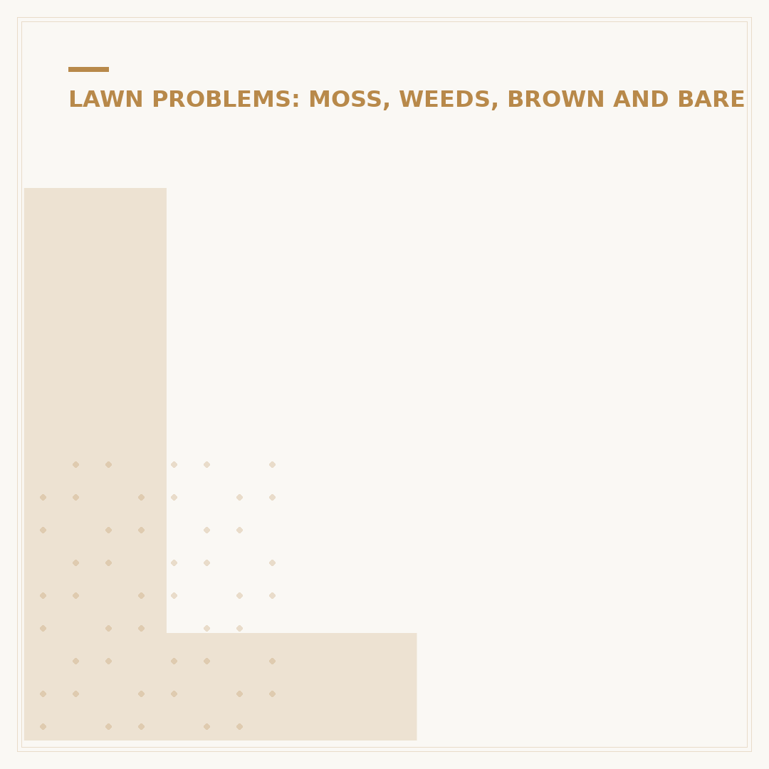 Lawn Problems: Identifying Brown Patches & Solutions