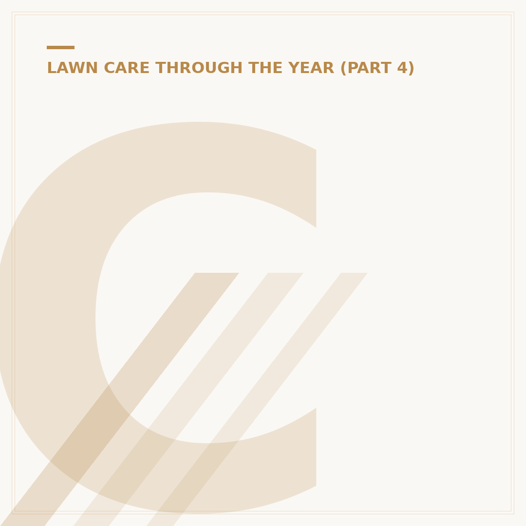 Choosing a Lawn Care Pack for a Healthier Garden