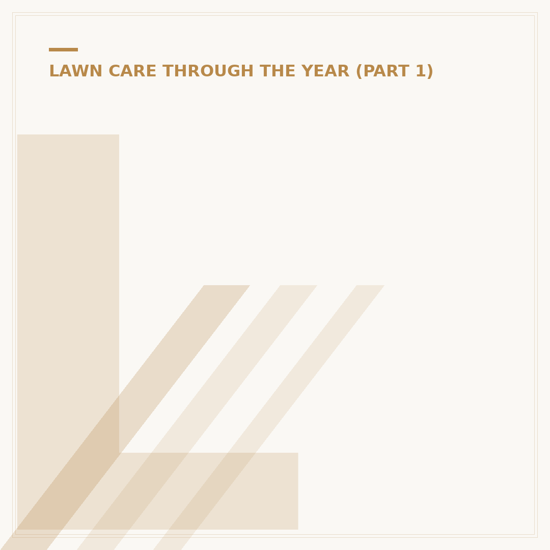 Lawn Edge Tool