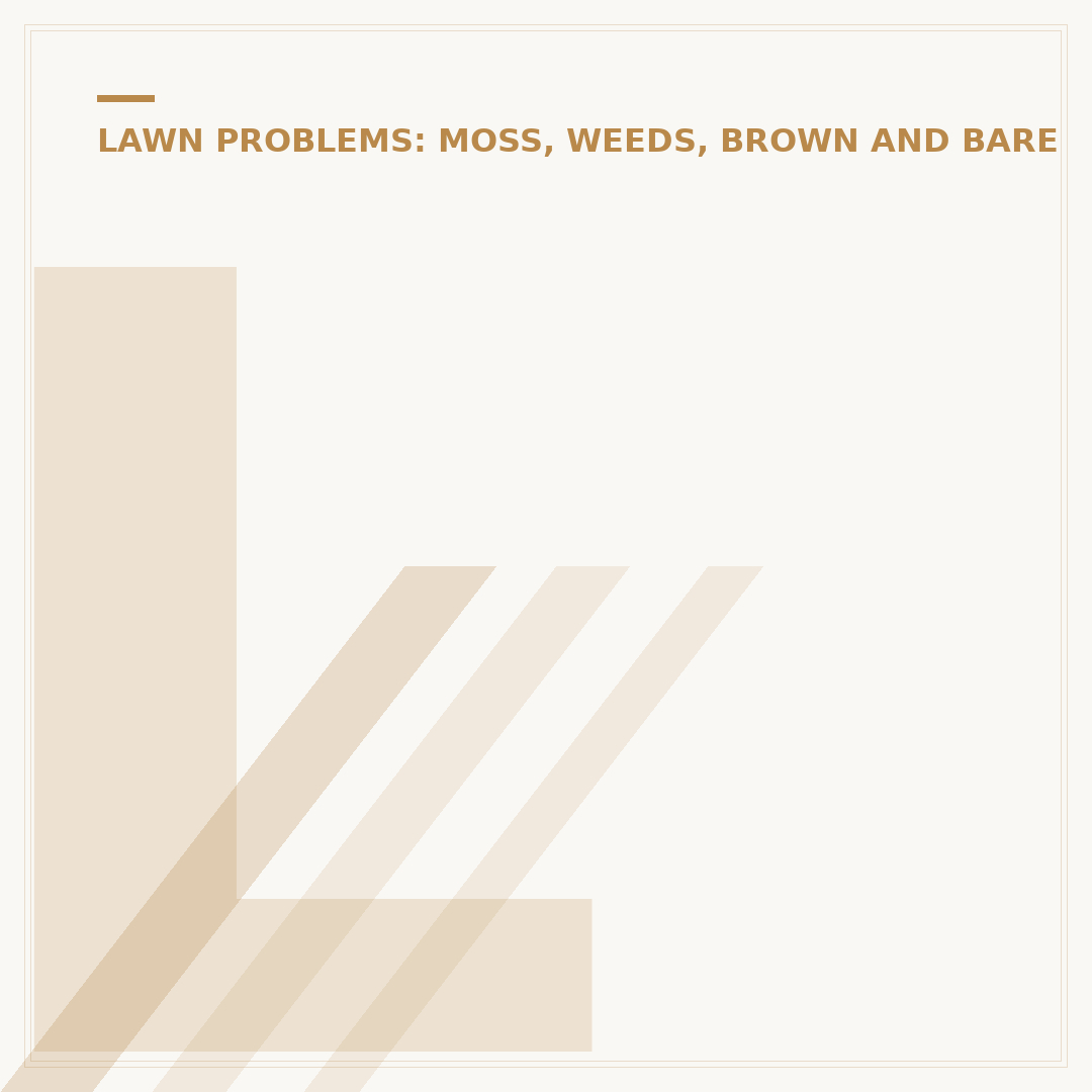 Lawn Patch Repair: How to Fix Bare Spots