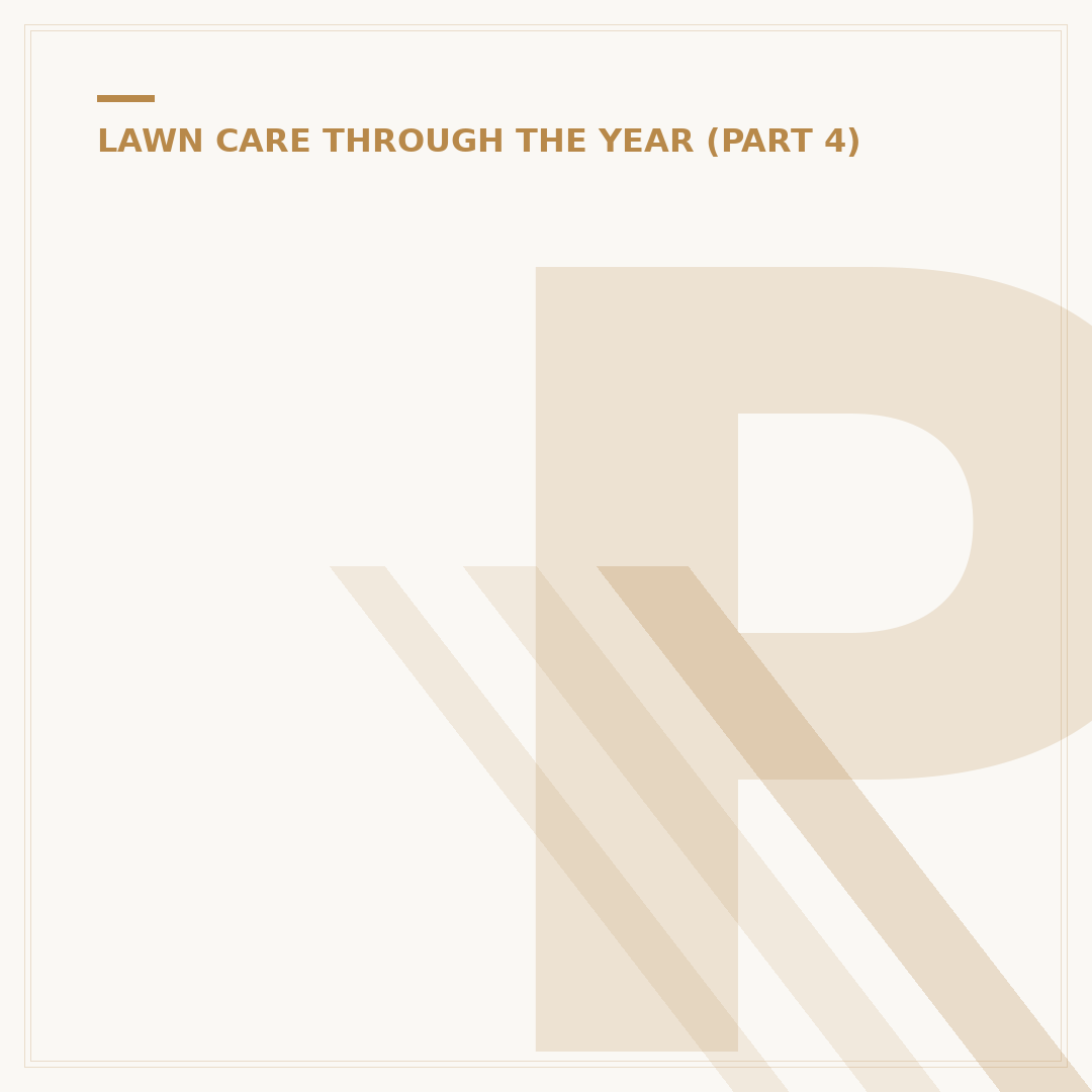 Professional Lawn Service Care Options in the UK