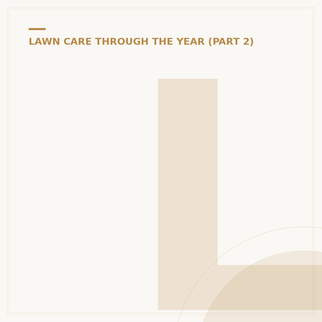 Lawn Trimmer Options: Electric vs. Petrol
