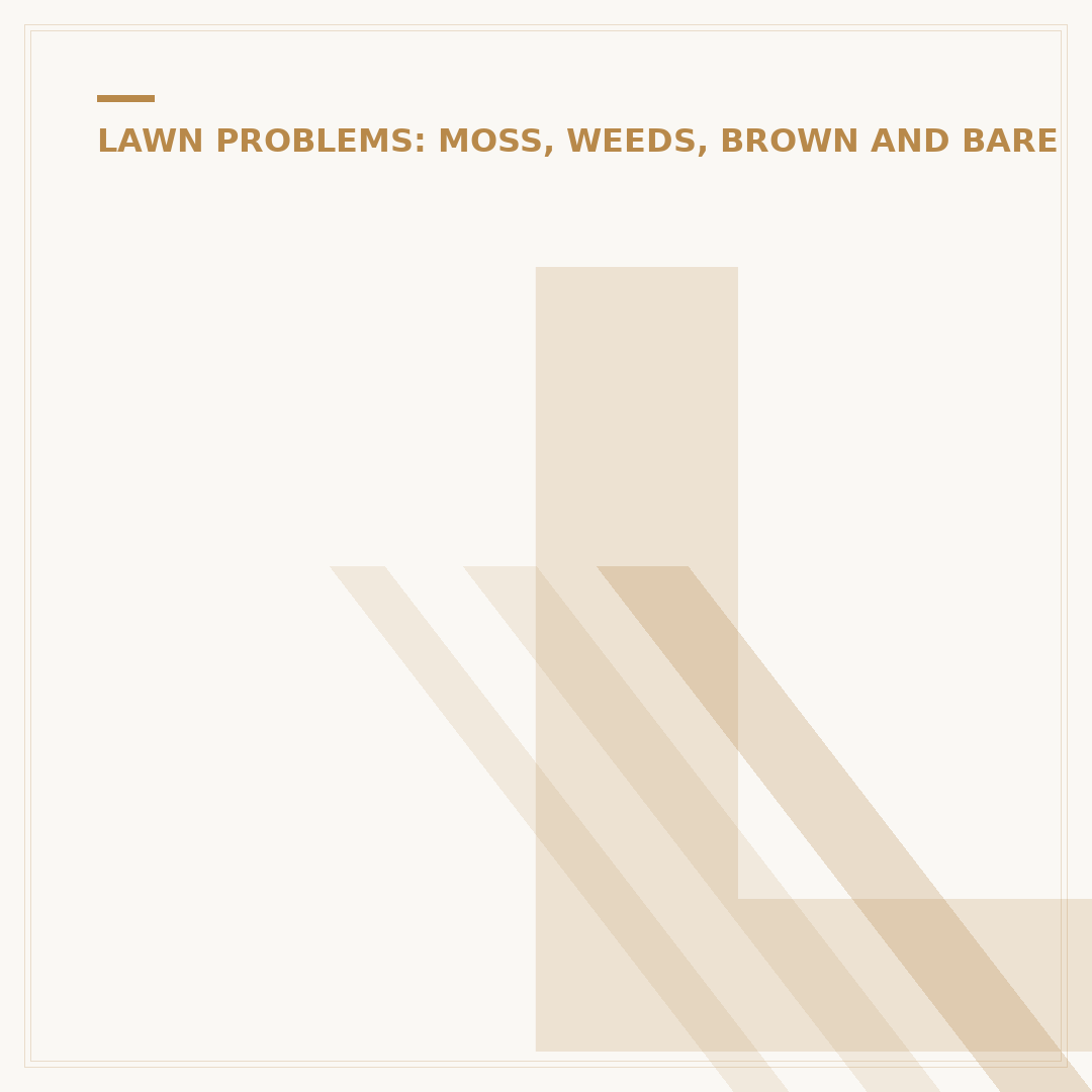 Lawn Weed Management: Control and Prevention Strategies