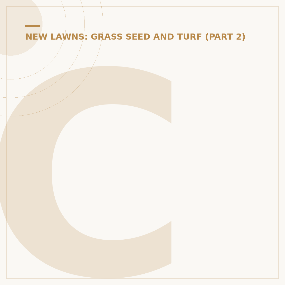 Can You Lay Turf on Sand?