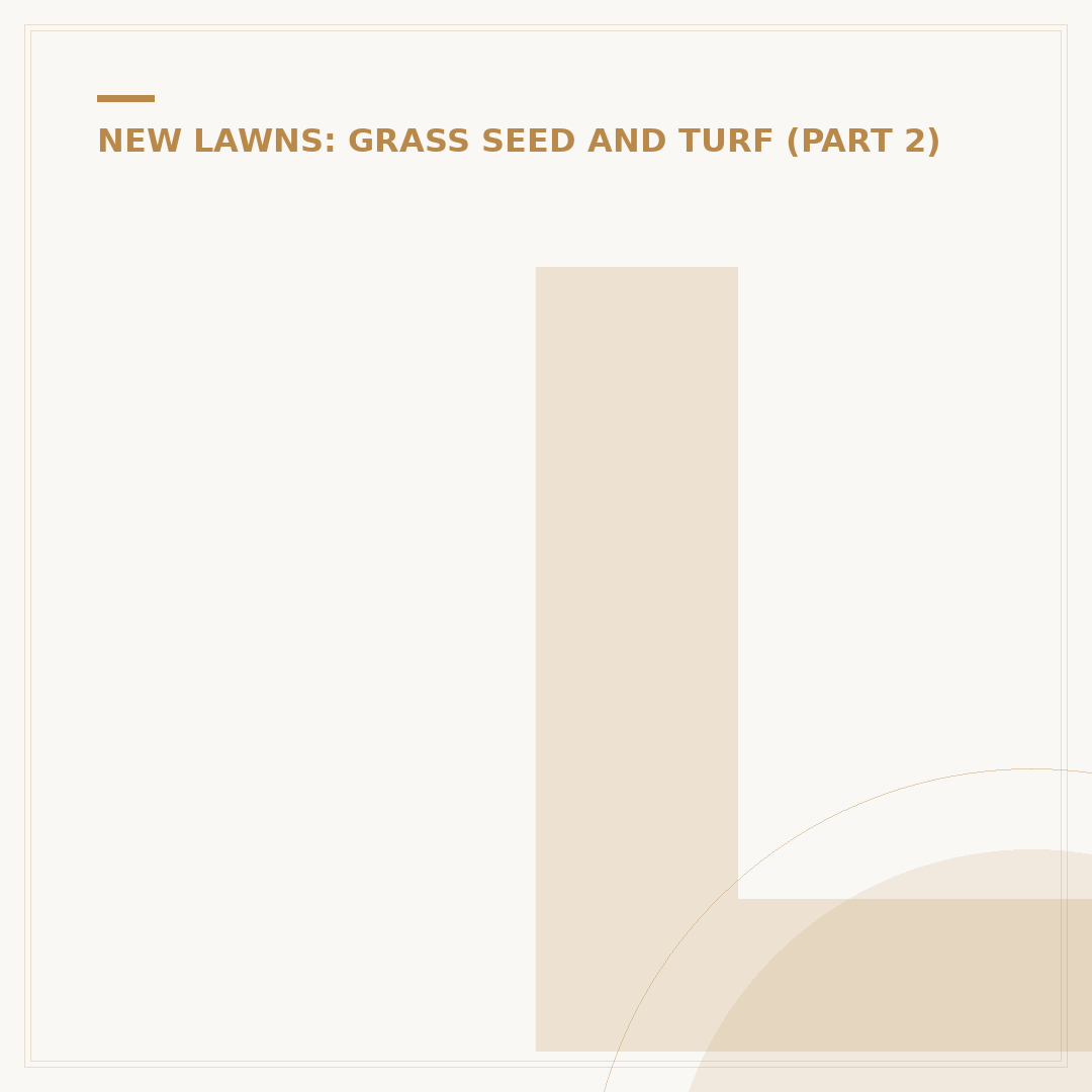 Laying a New Lawn: Seed or Turf Options