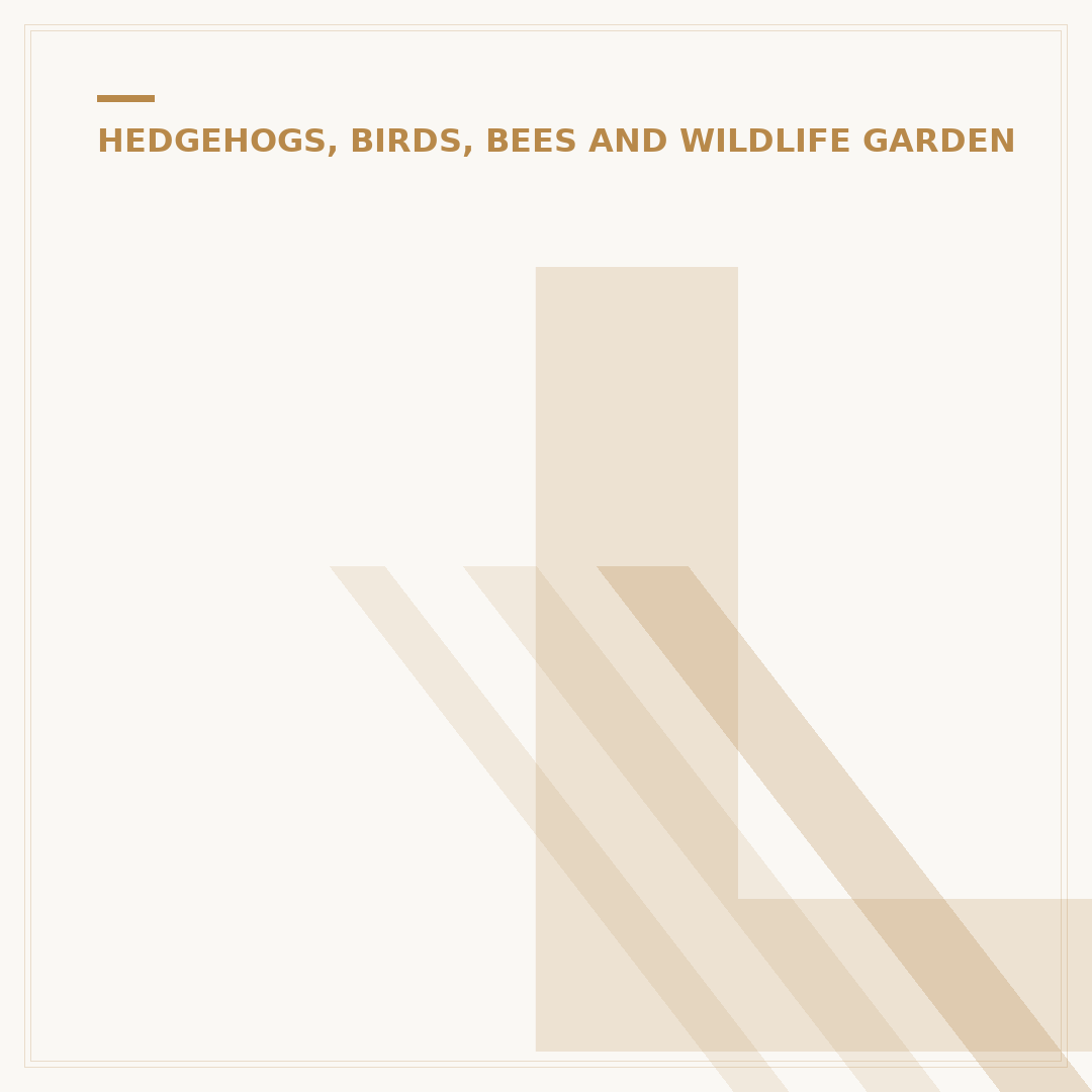 Leaf Cutting Bees Nest: What To Know