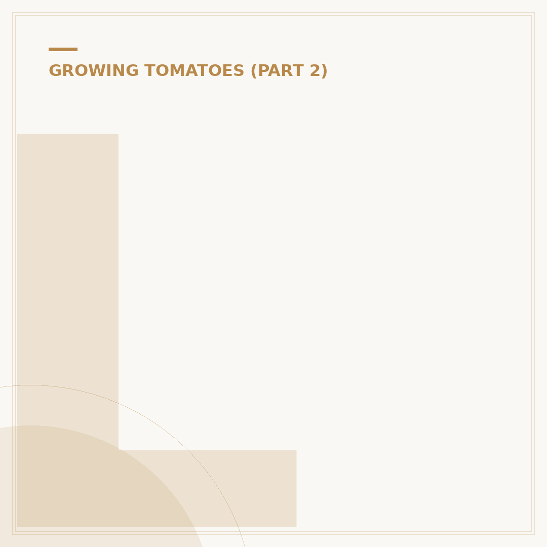 Leggy Tomato Plants: Causes, Solutions & Prevention