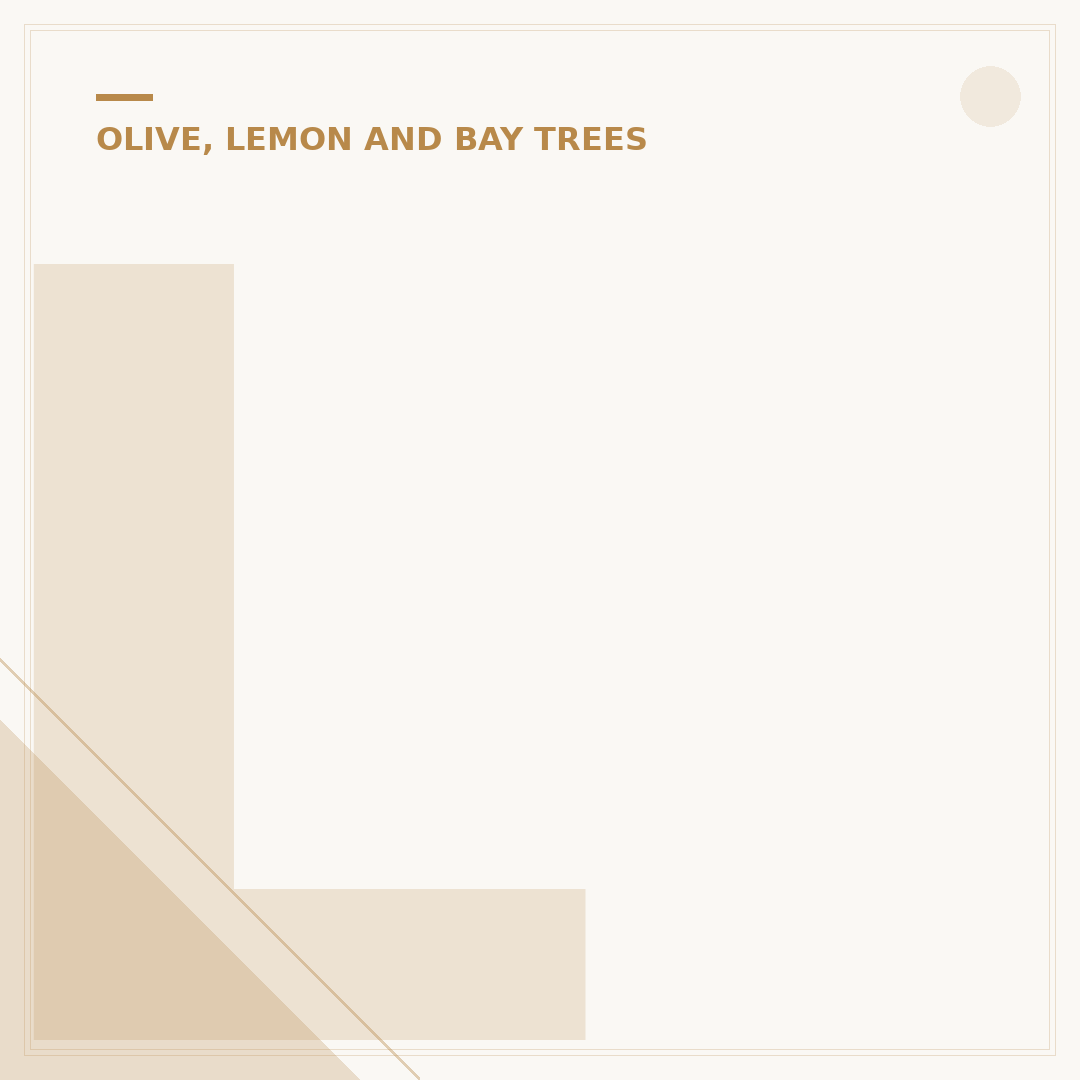 Lemon Tree Leaves Curling: Causes and Solutions