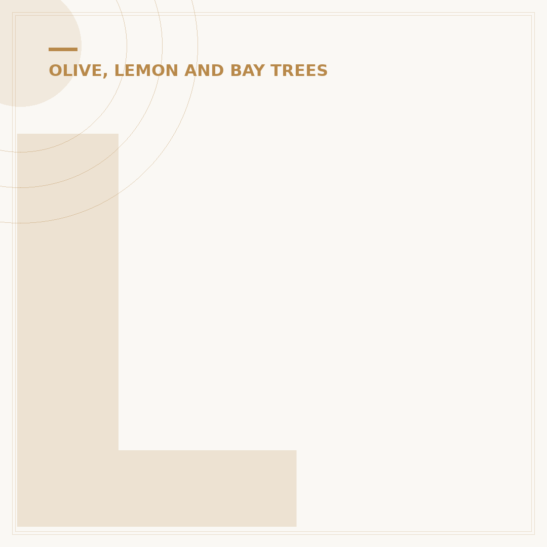 Lemon Tree Scale Infestation: Identification and Treatment
