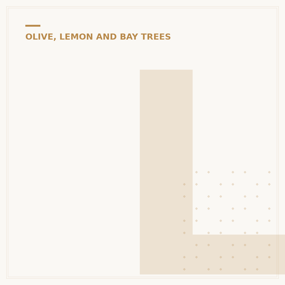 Lemon Tree Leaves Turning Yellow: Causes & Solutions
