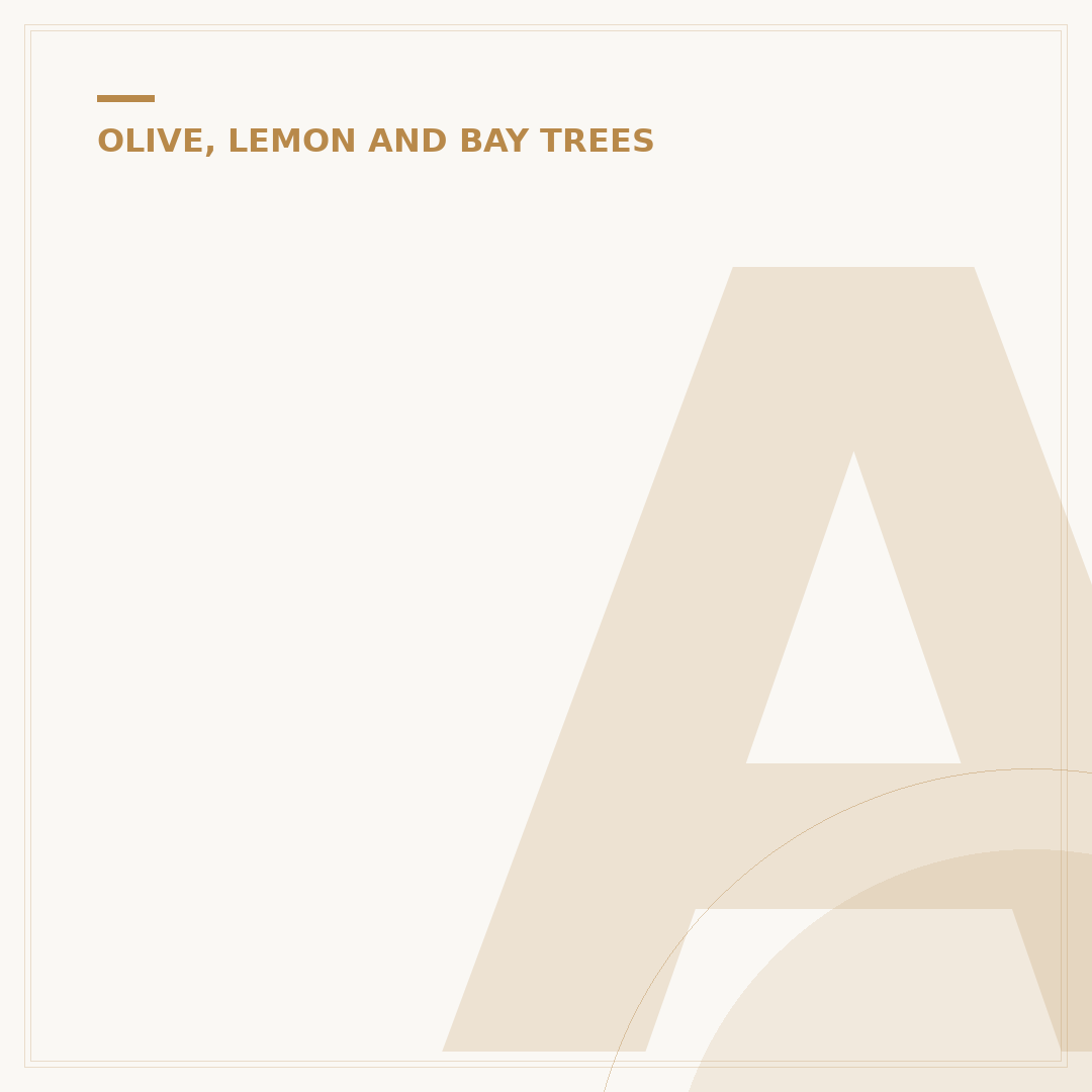 As Long As The Lemon Trees Grow: Cultivation & Care