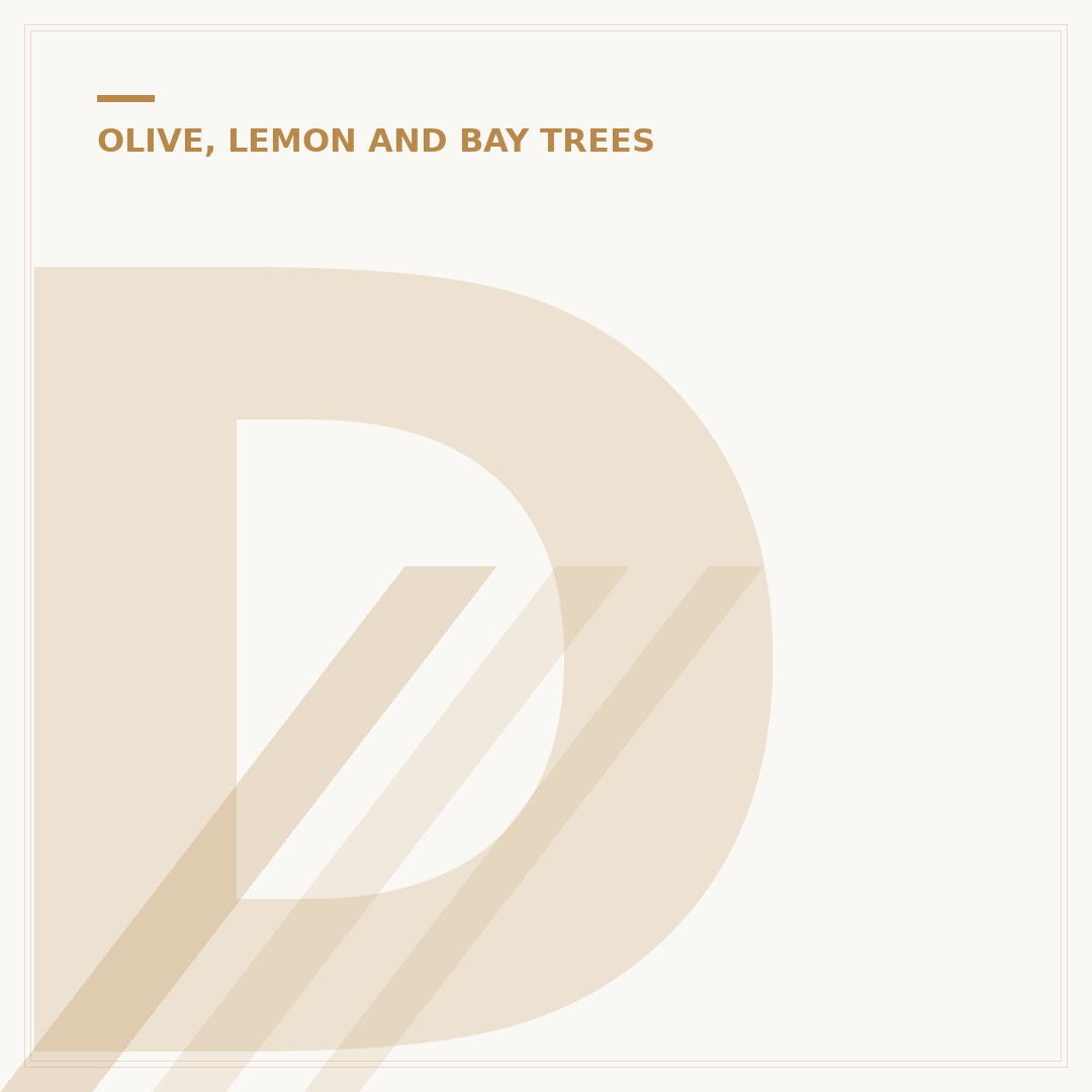 Do Lemon Trees Have Thorns? Understanding Citrus Spines