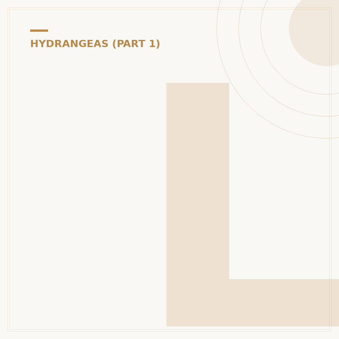 Limelight Panicle Hydrangea Care & Alternatives