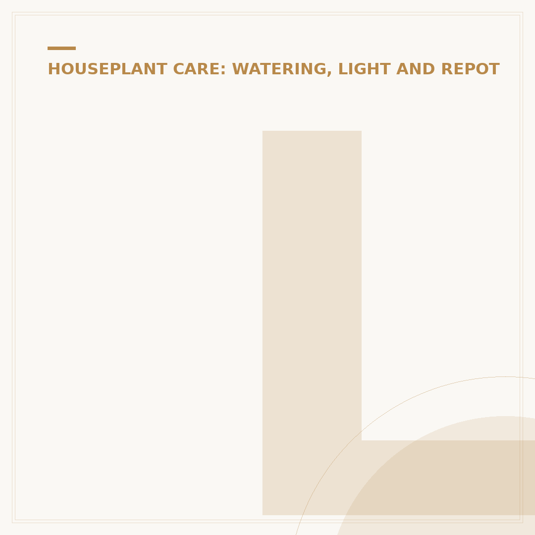 Low Care Houseplants: Thriving with Minimal Effort