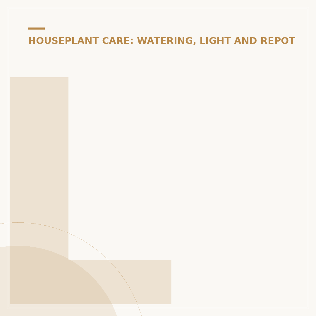 Low Care Indoor Plants for Effortless Greenery