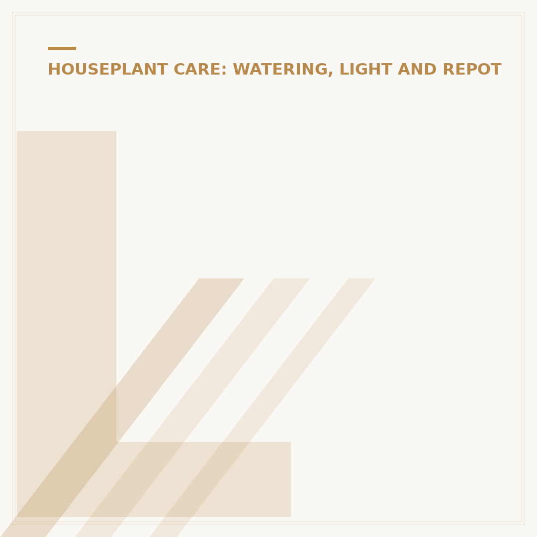 Low Light Houseplants: Thriving Varieties for Dim Spaces