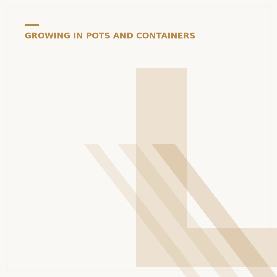 Low Maintenance Plants for Pots