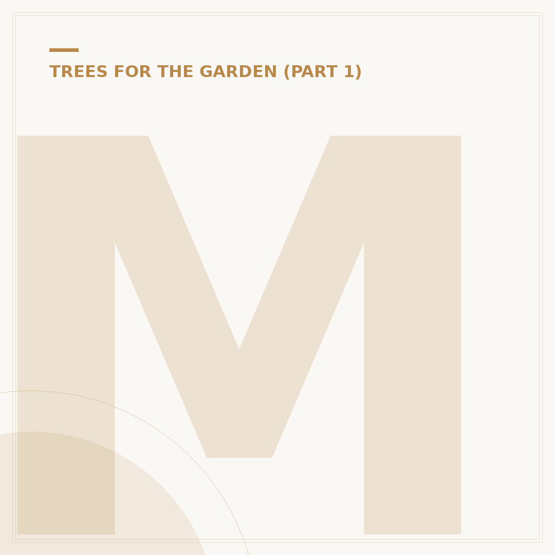 Magnolia Tree Not Flowering? Causes and Solutions