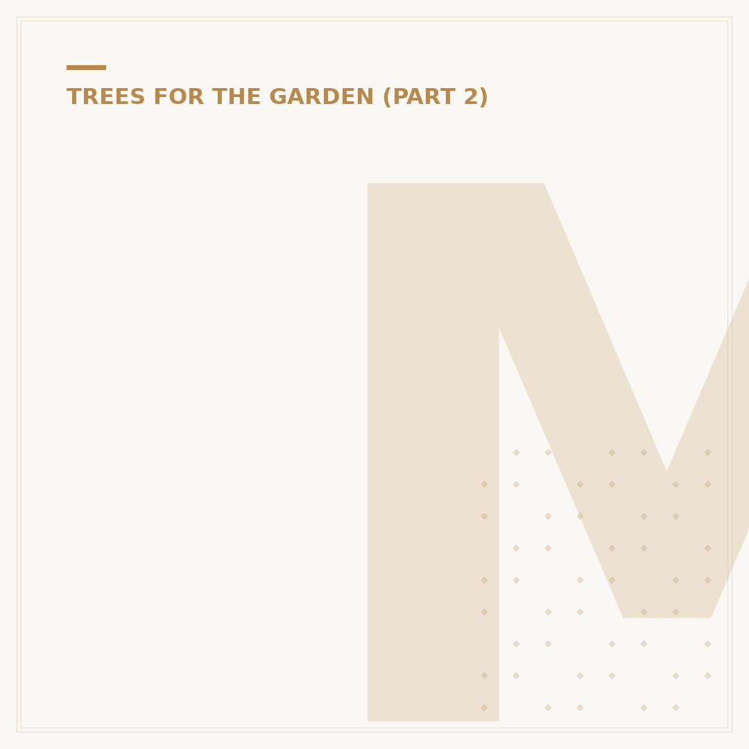 Magnolia Tree in Pot: Selection, Care & Varieties