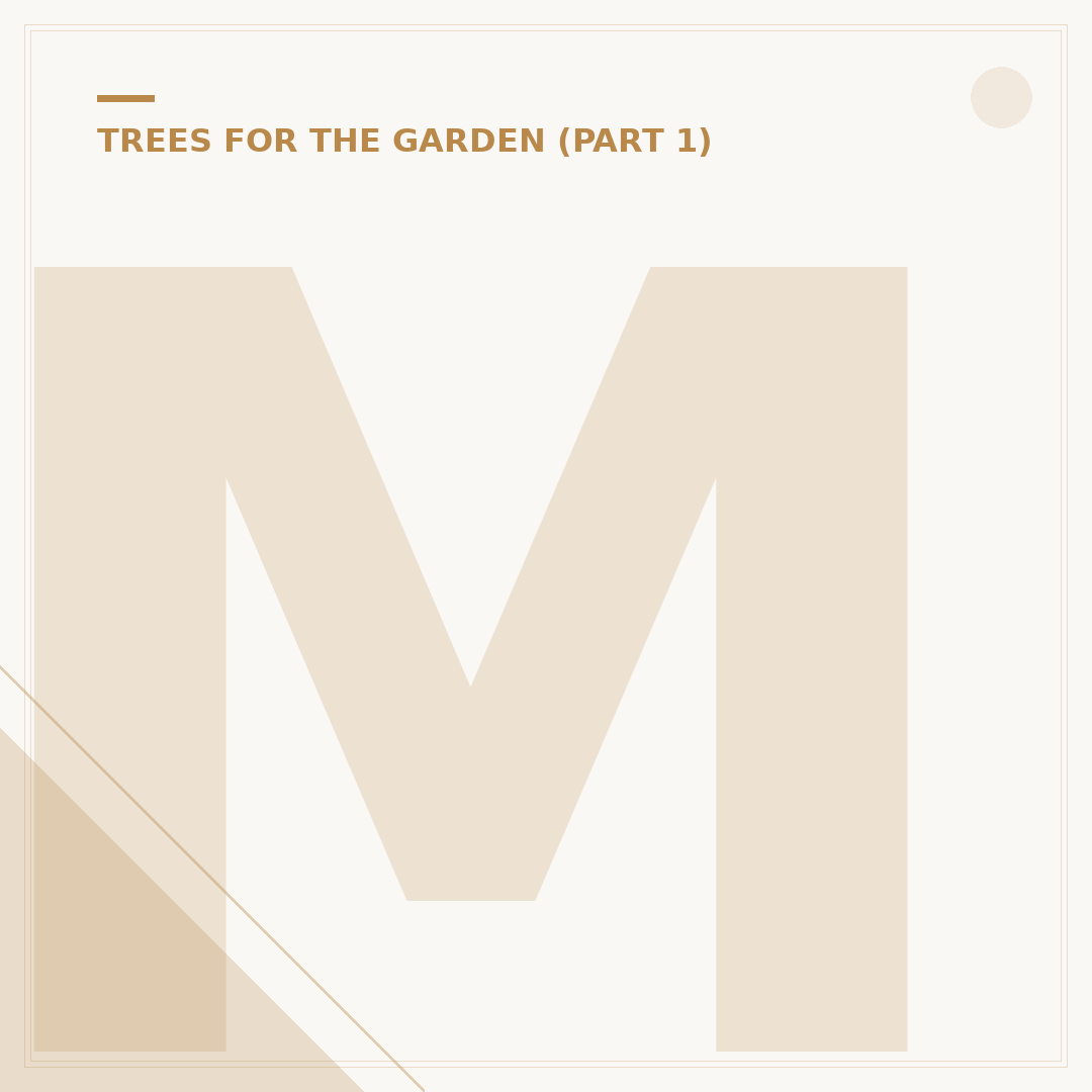 Magnolia Tree Varieties