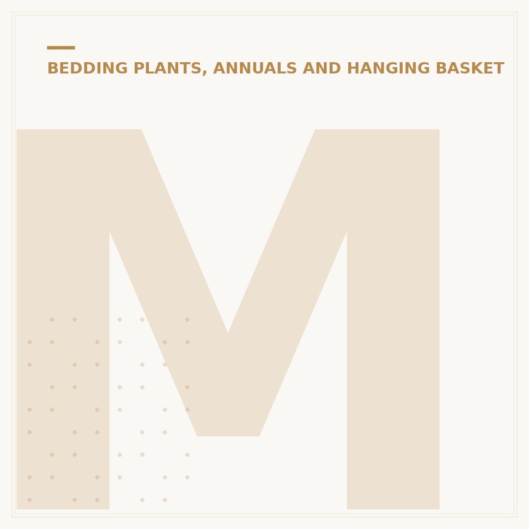 Marigold Plant Seedling: Growing From Seed