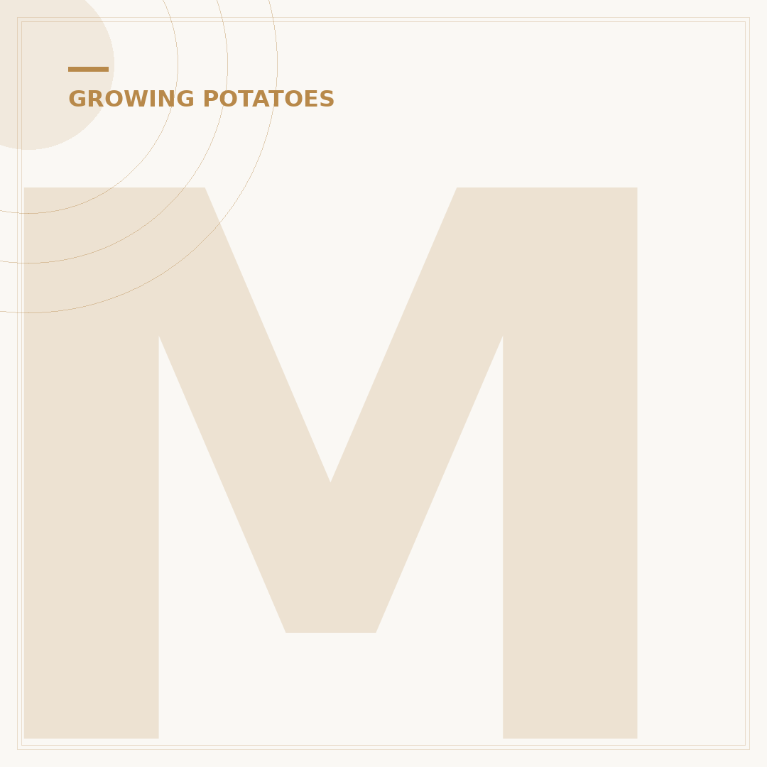 Maris Piper Seed Potatoes