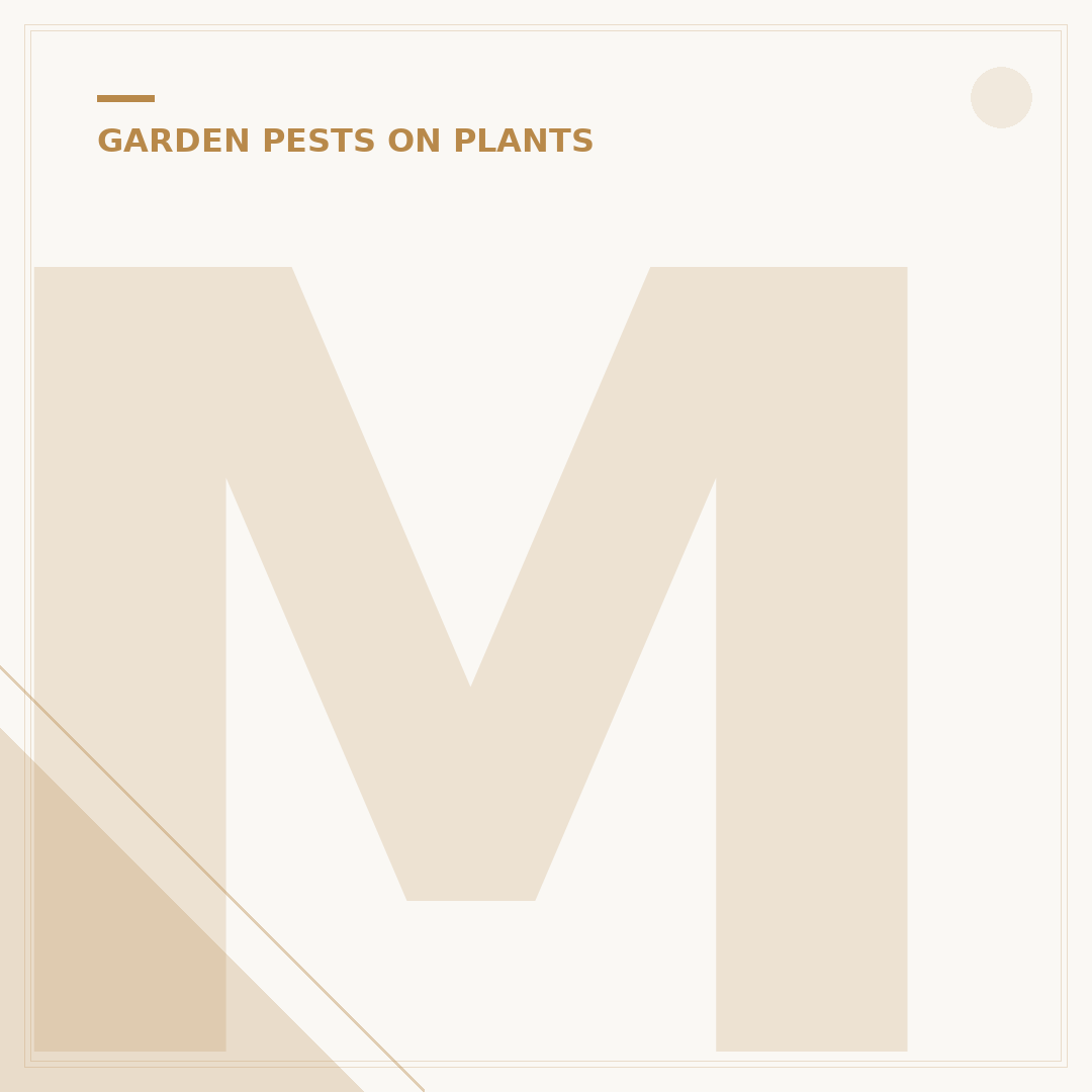 Mealybug Destroyer: Solutions for Infested Plants