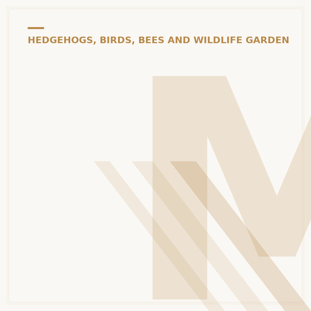 Metal Bird Feeders: Durable Garden Bird Solutions