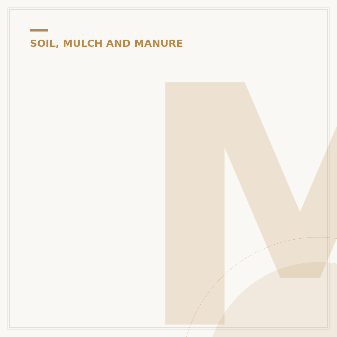 Mold in Potting Soil: Causes and Solutions