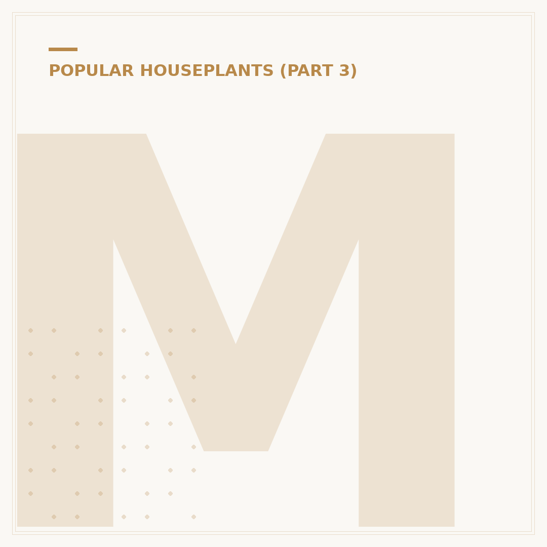 Monstera Plant Cuttings: Propagation Methods Explained
