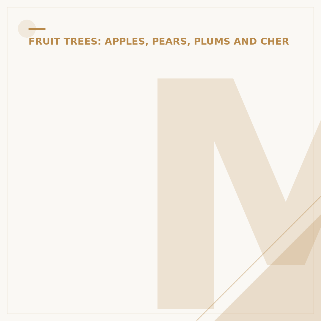 Morello Cherry Tree: Cultivation and Uses
