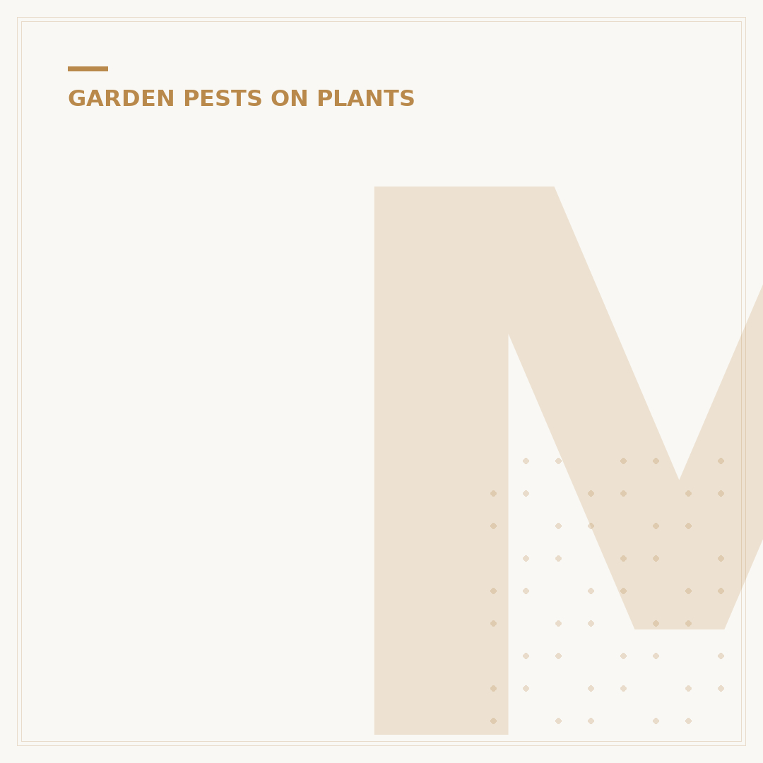 Mosquito Bits for Fungus Gnats