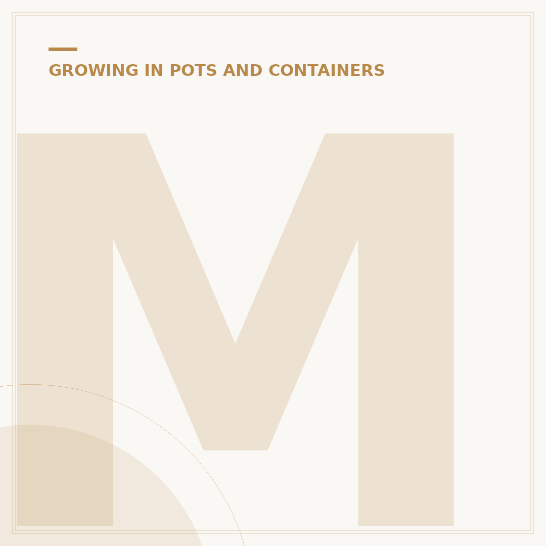 Moss for Hanging Baskets: Lining and Care