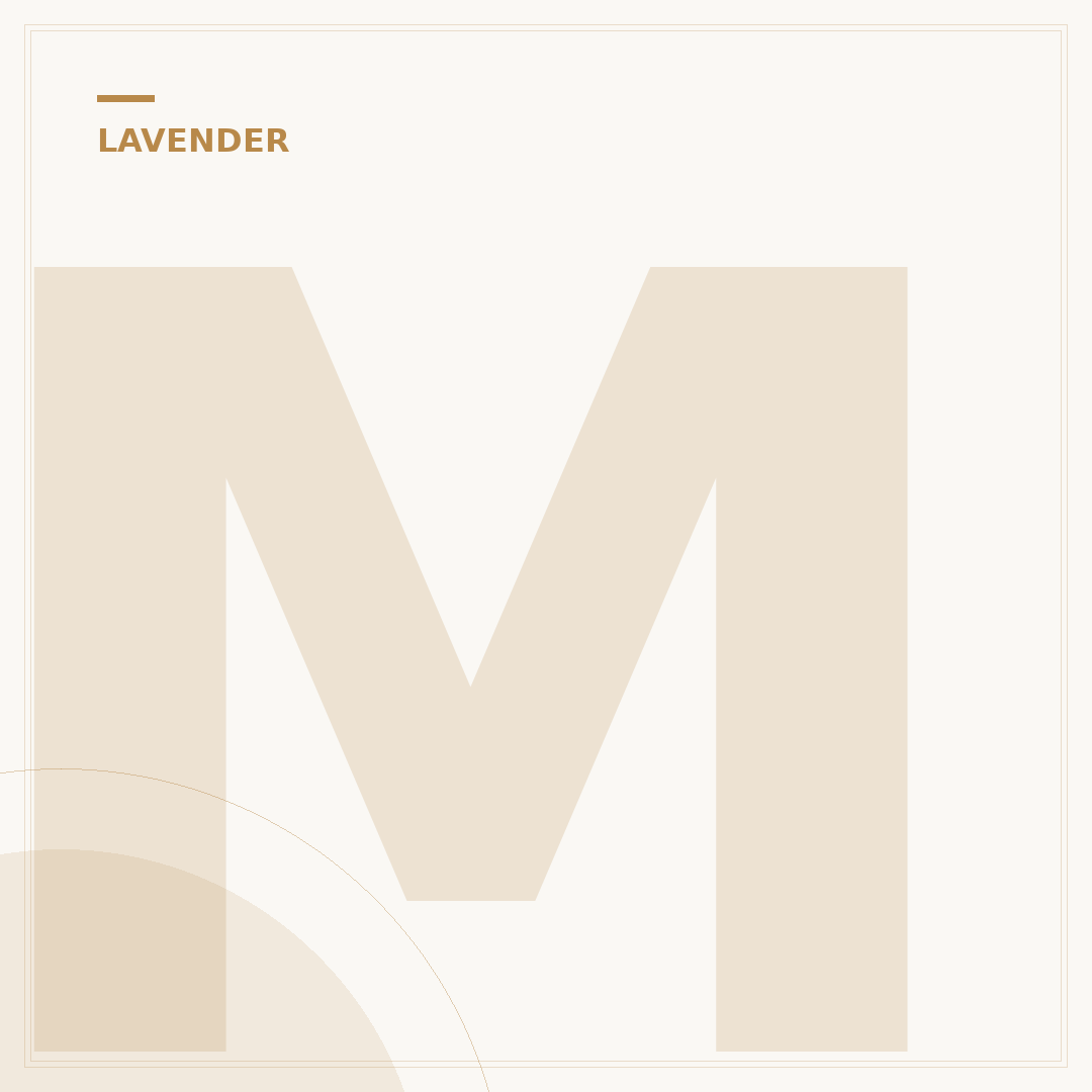 Munstead English Lavender: Care and Cultivation