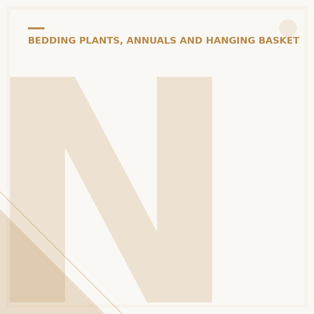 Nasturtium Seedling Care: From Pot to Patio