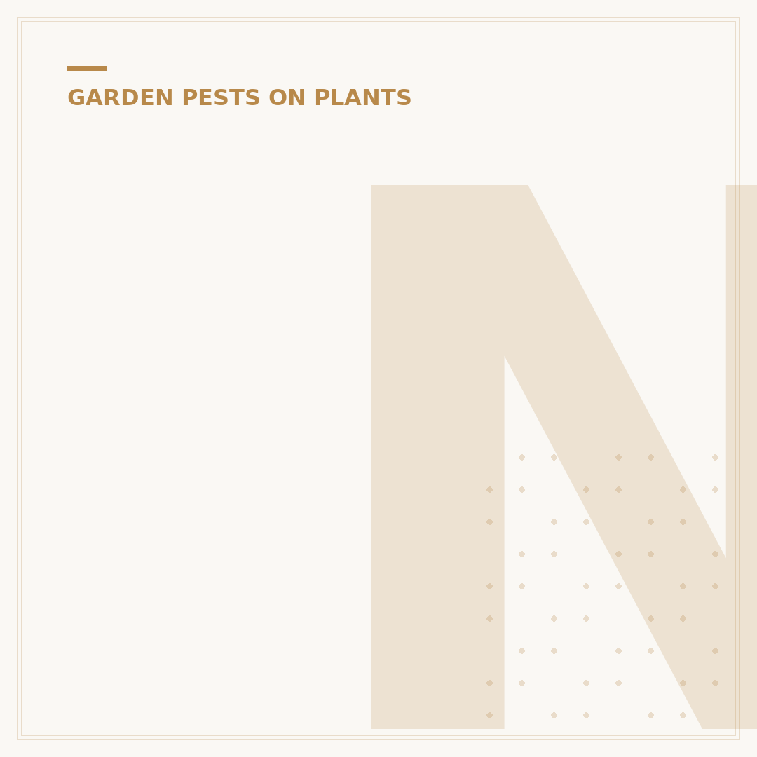 Neem Oil for Vegetable Plants