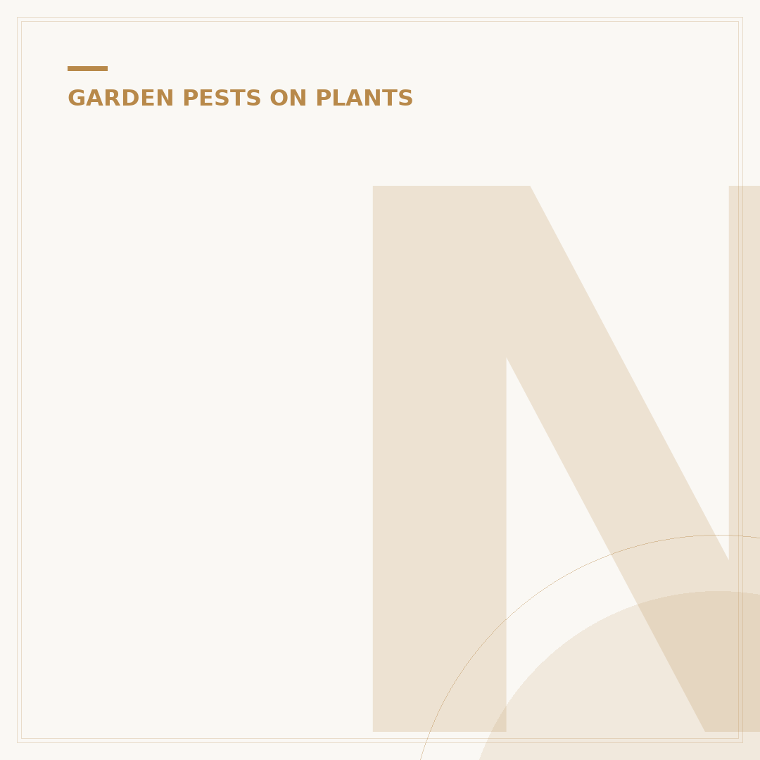 Neem Seed Oil for Plants: Natural Pest Control