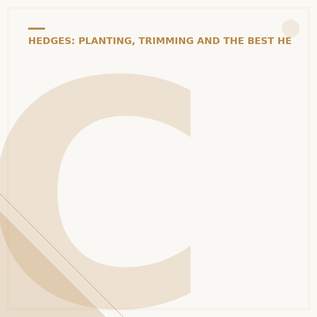 Can My Neighbour Cut the Top of My Hedge Without Permission?