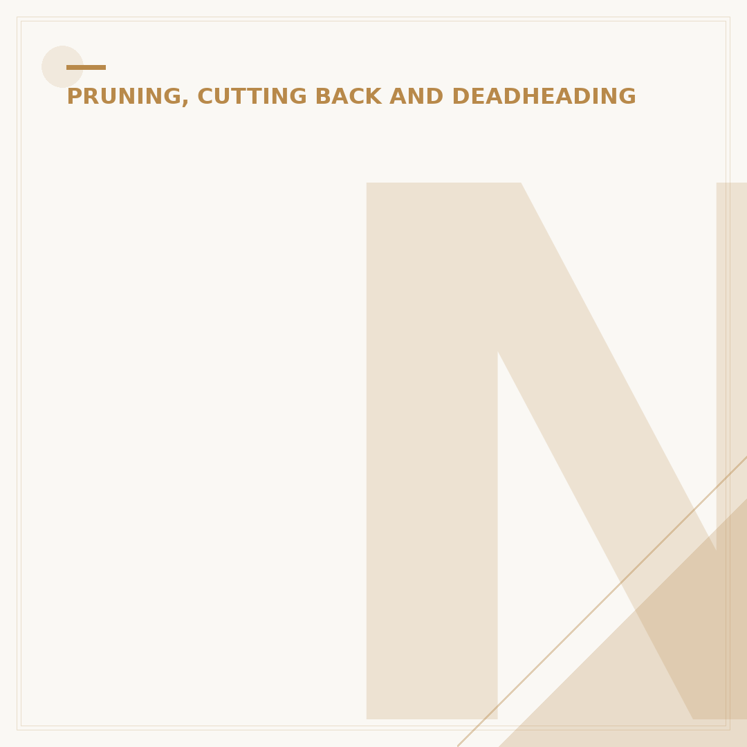 Nerium Oleander Pruning: When and How to Trim