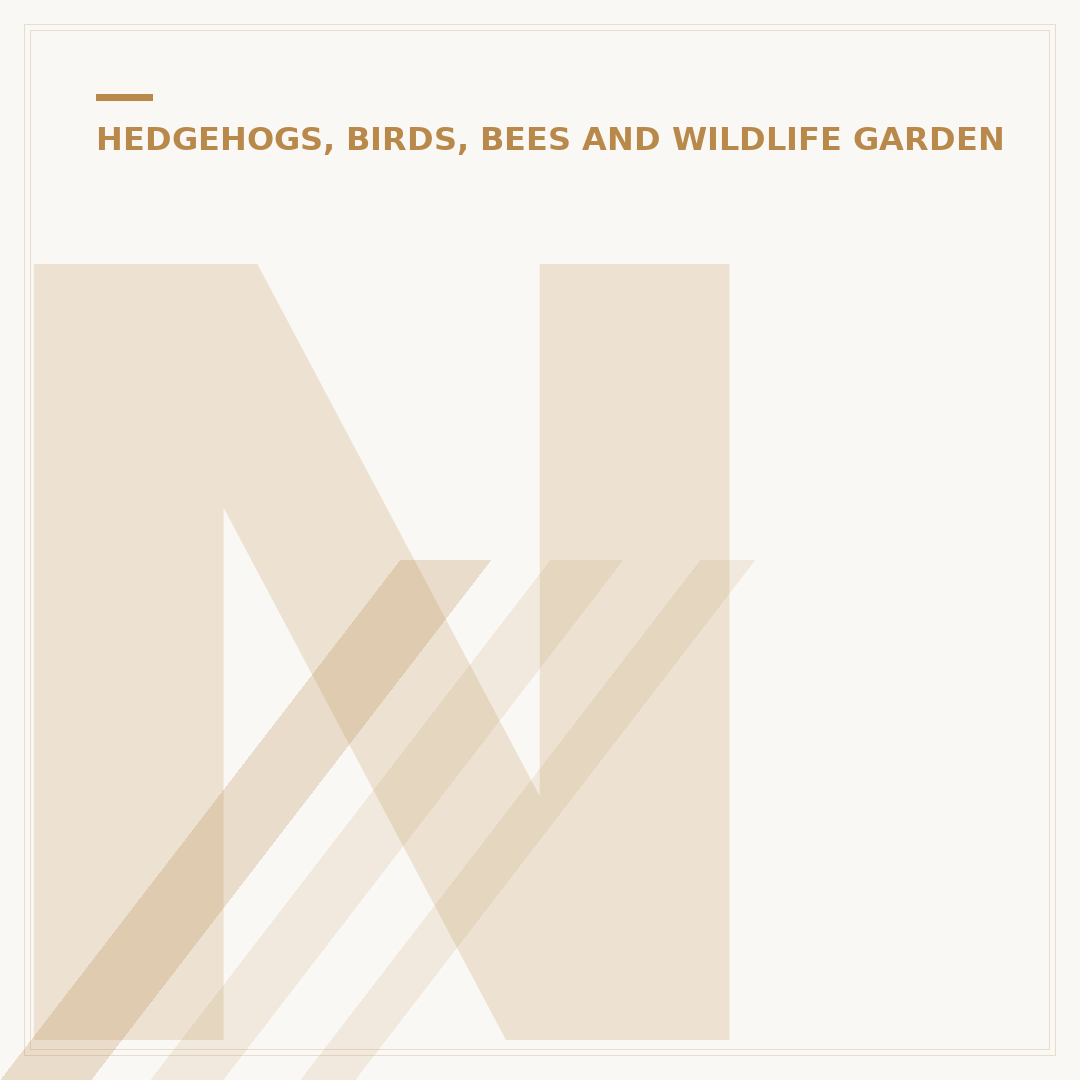 Nest Box Camera: See Garden Birds and Wildlife