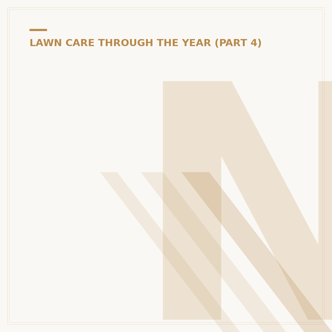 New Grass Lawn Care: Establishing a Healthy Lawn