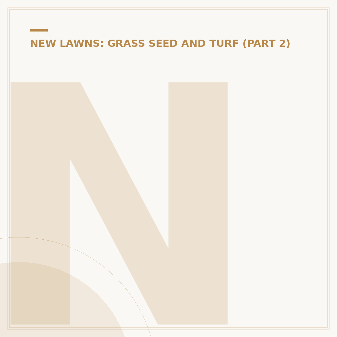 New Turf Fertiliser: Choosing the Right Feed