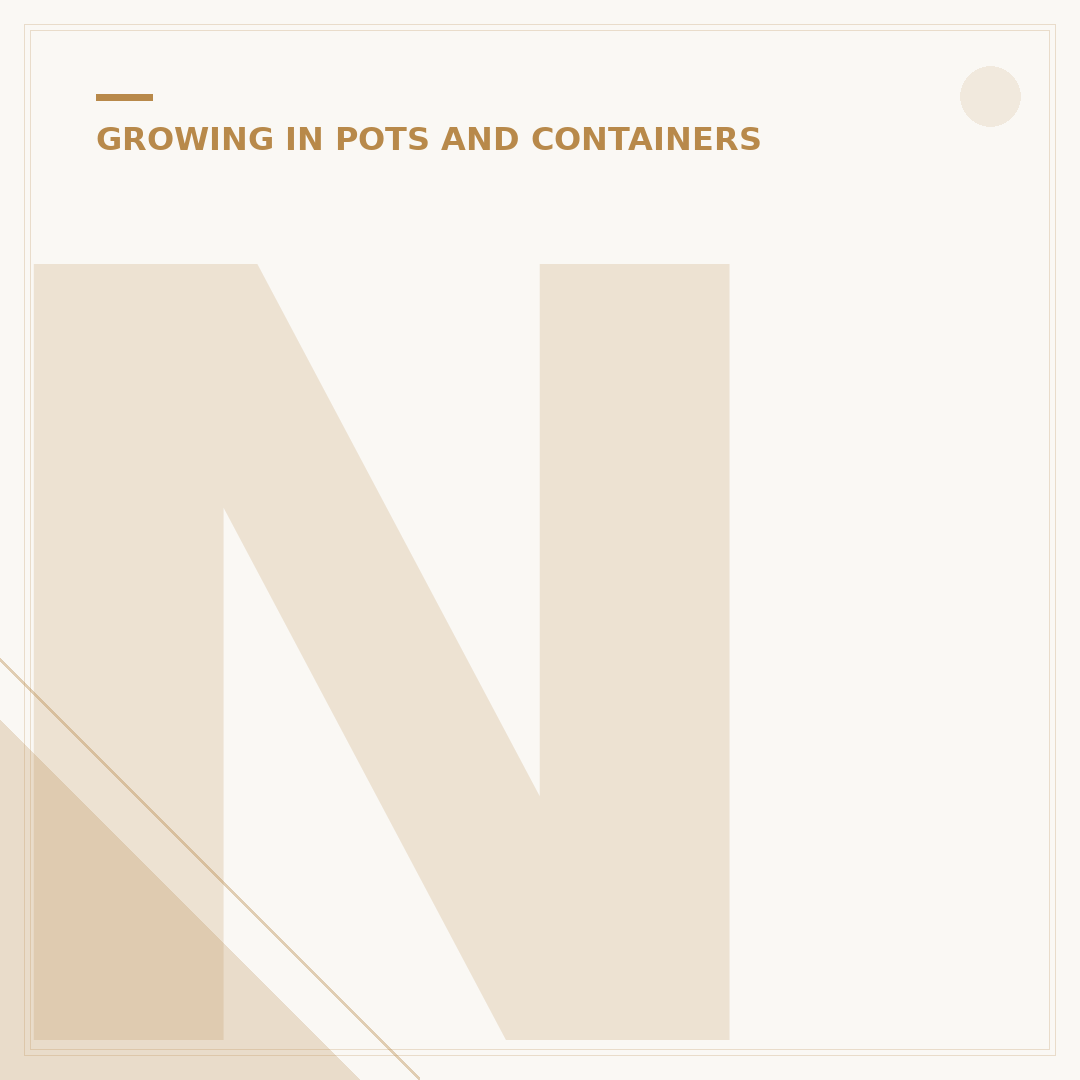 Nice Plants for Pots: Attractive Container Garden Choices