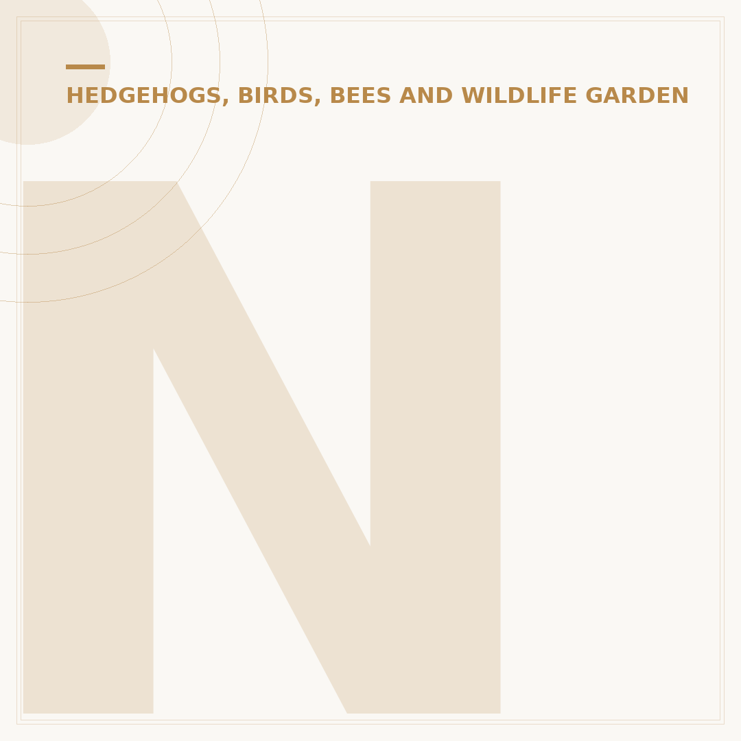 Niger Seed Bird Feeder: Attract More Garden Birds