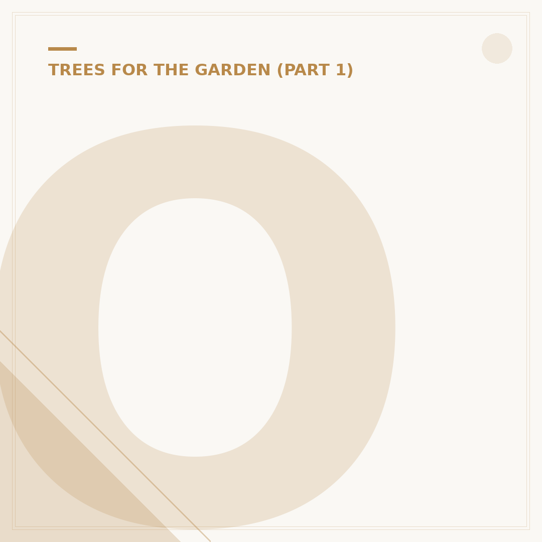 Oak Tree Leaves: Identification and Seasonal Changes